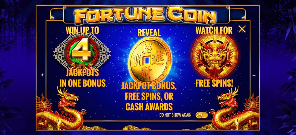 Fortune Coin Bonus Features