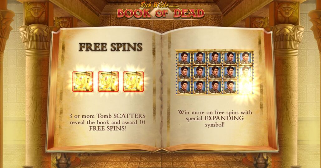 Book of Dead Slot