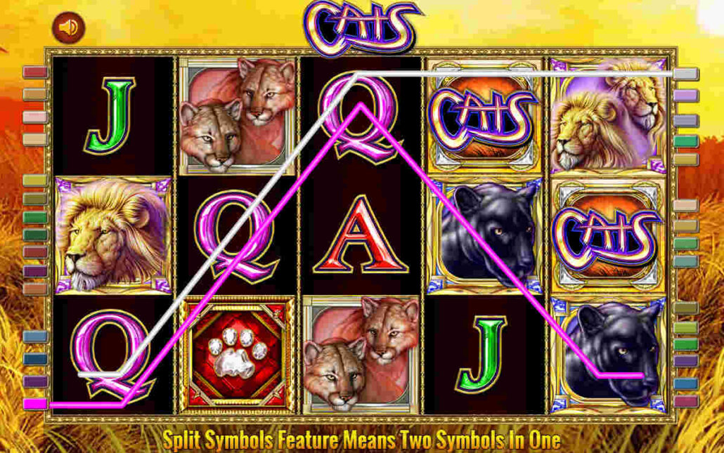 cats slot free play