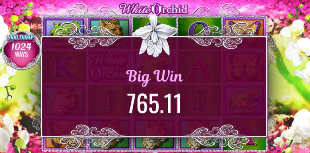 play free white orchid slot